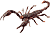 bug graphic