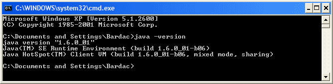 java_version